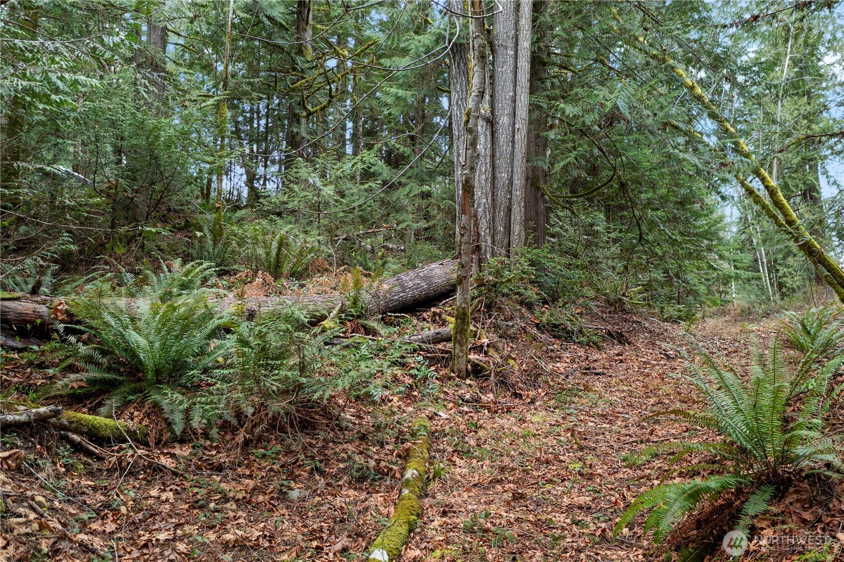 0 N Olympic Trails Drive , Lilliwaup, WA 98555