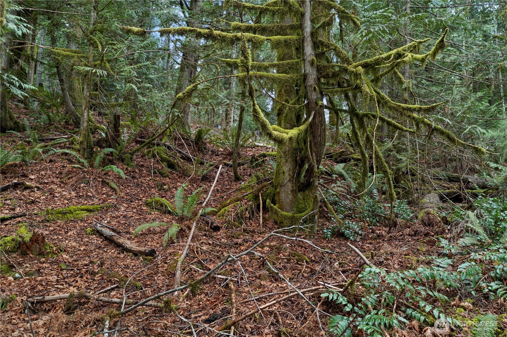 0 N Olympic Trails Drive , Lilliwaup, WA 98555