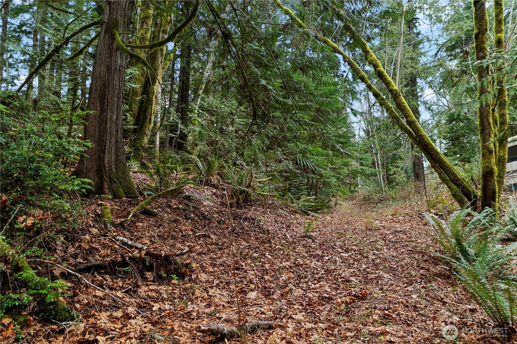 0 N Olympic Trails Drive , Lilliwaup, WA 98555