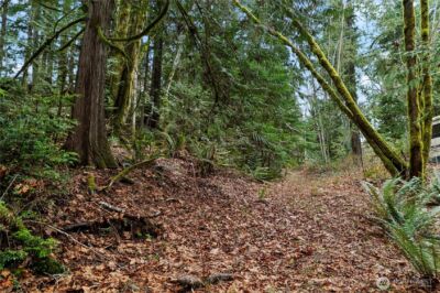 0 N Olympic Trails Drive , Lilliwaup, WA 98555 - Photo 6