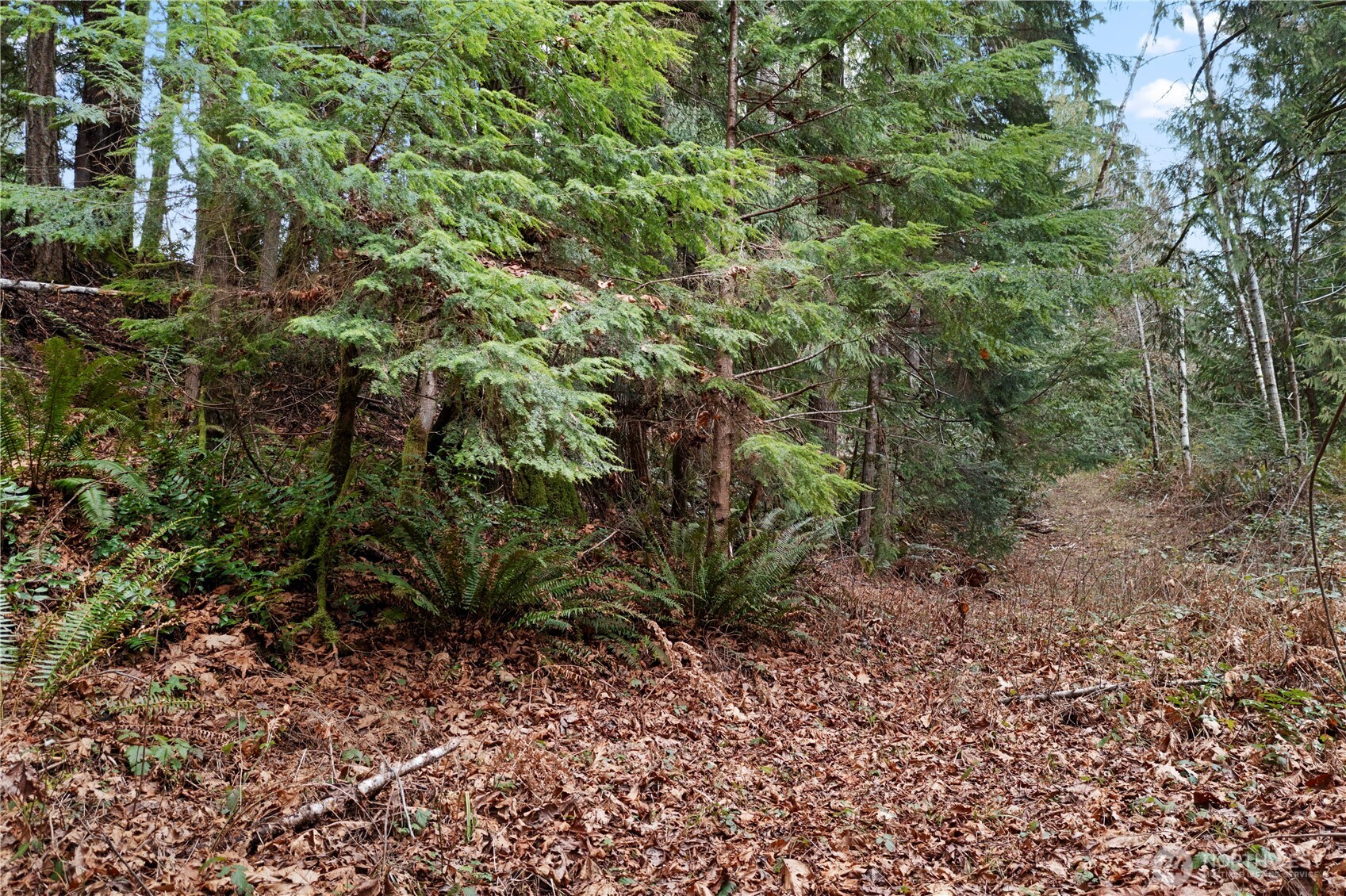 0 N Olympic Trails Drive , Lilliwaup, WA 98555