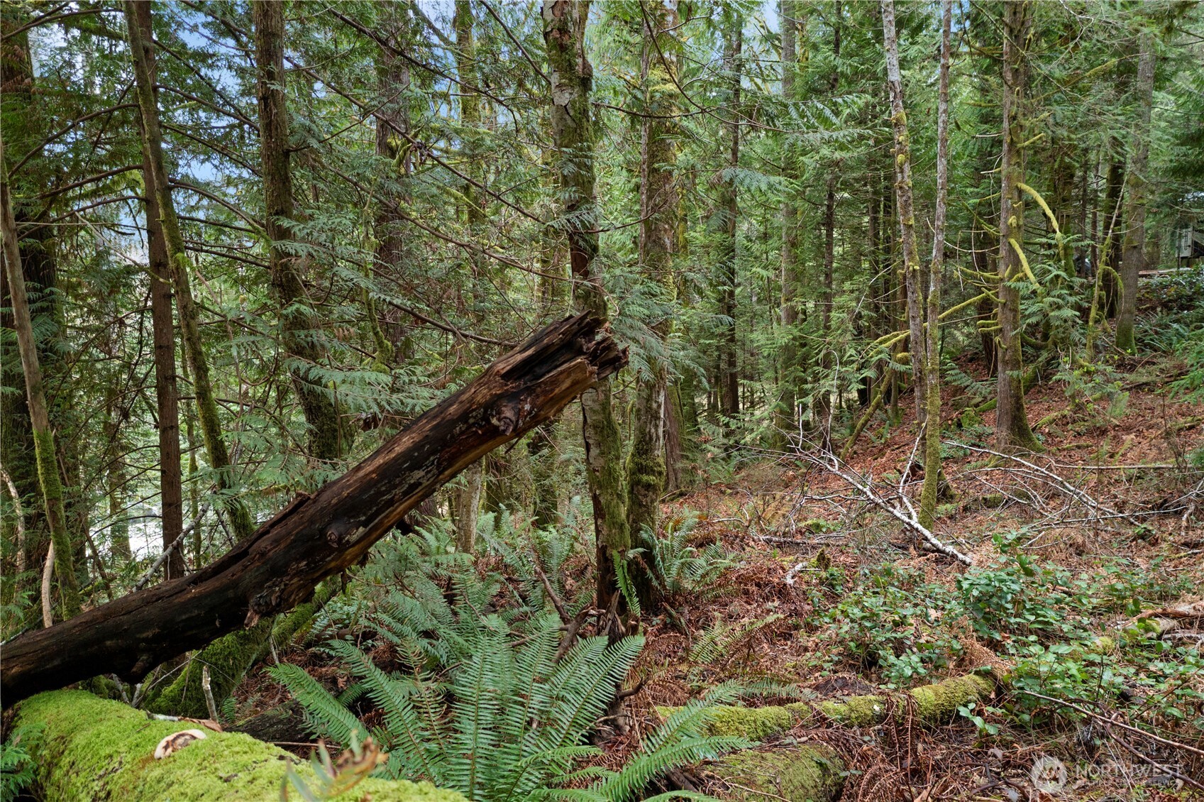 0 N Olympic Trails Drive , Lilliwaup, WA 98555