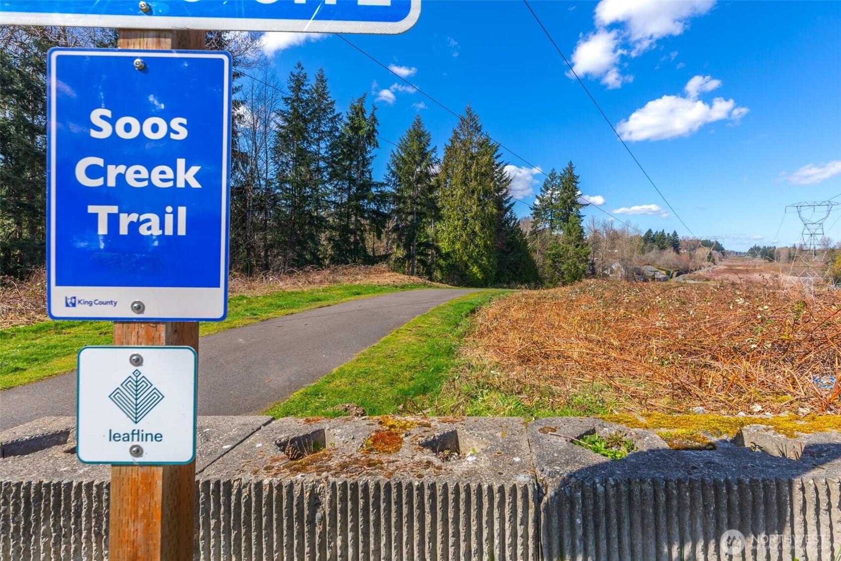 12802 SE 202 Place , Kent, WA 98031