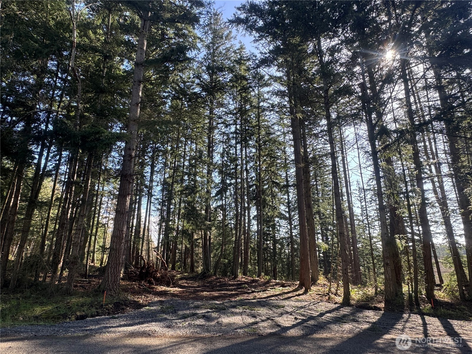 396 Durr Road , Camano Island, WA 98282