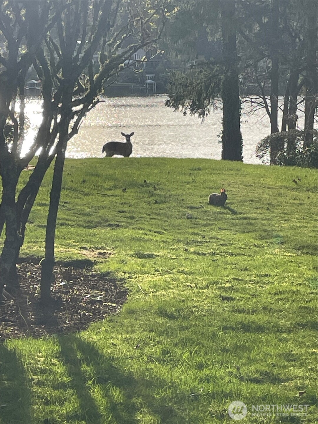 10826 Meadow Road SW, Lakewood, WA 98499