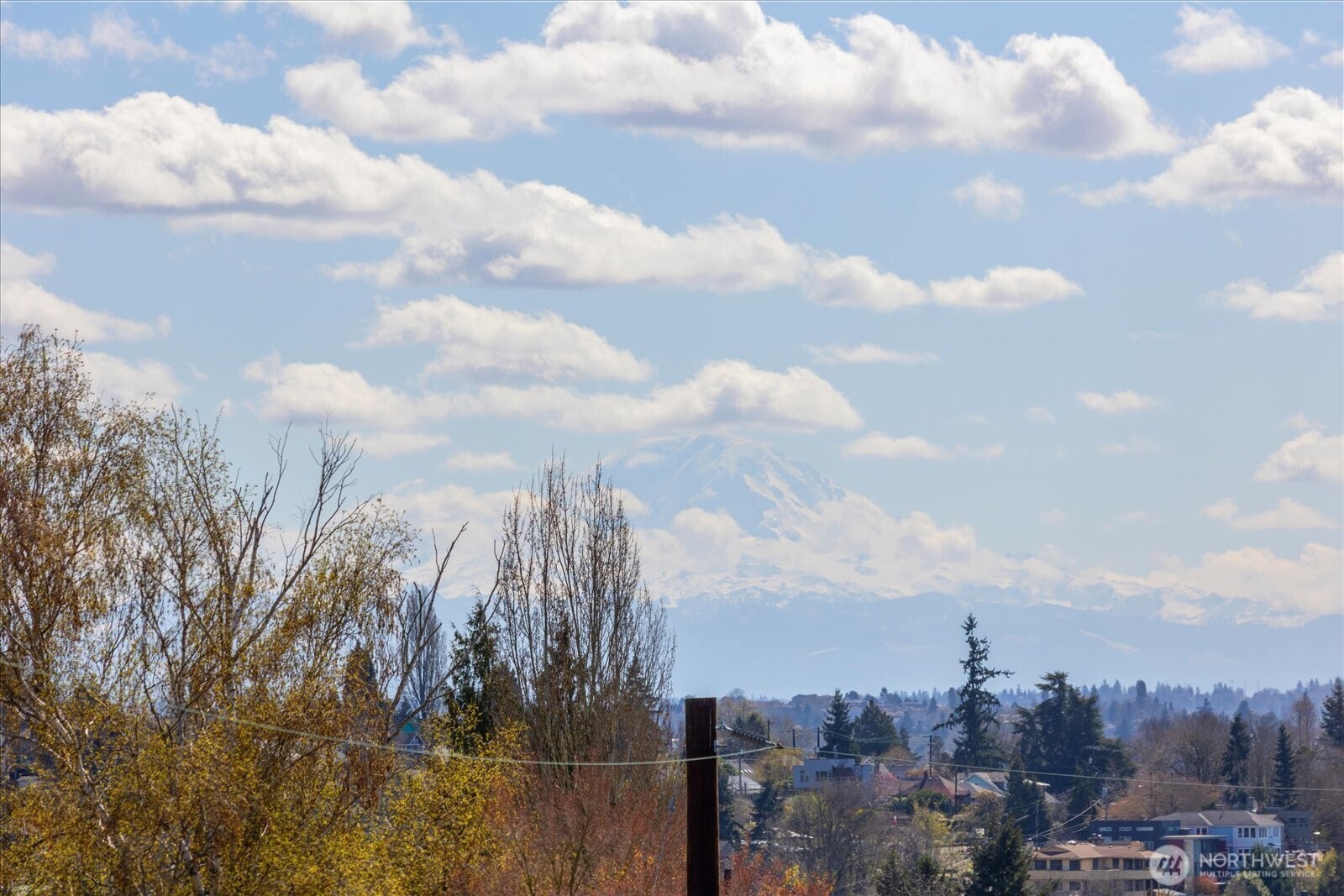 721 24th Avenue S, Seattle, WA 98144-3003