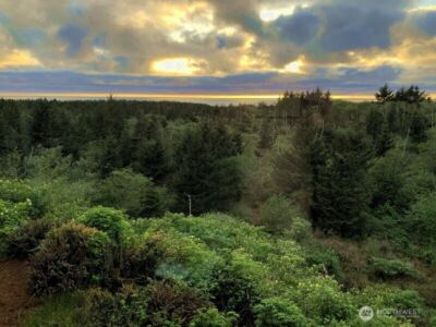 2815 Willows Road #230, Seaview, WA 98644 - Photo 2