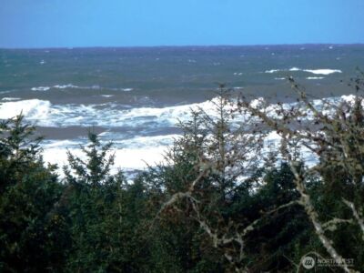 2815 Willows Road #230, Seaview, WA 98644 - Photo 40