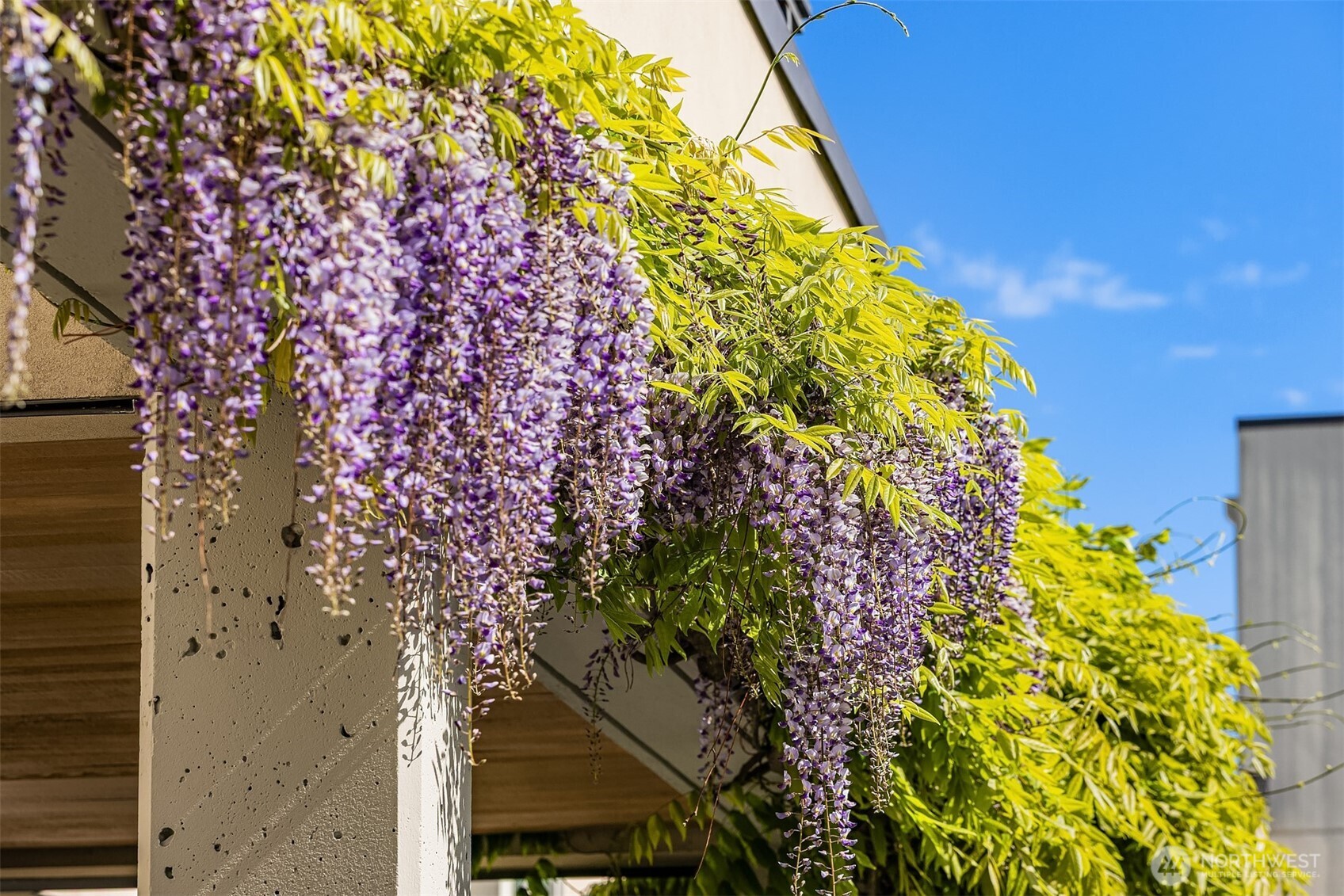 1009 Western Avenue #1203, Seattle, WA 98104