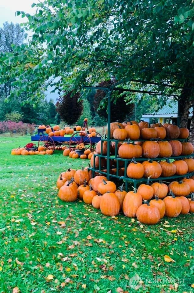 5628 Grandview Road , Arlington, WA 98223