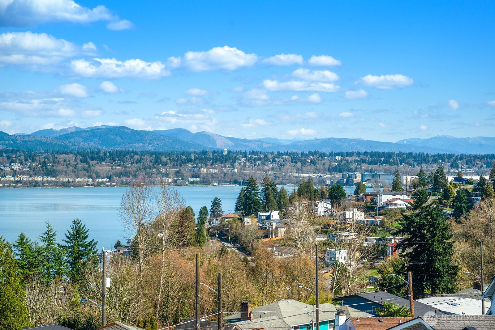 9928 64th Avenue S, Seattle, WA 98118