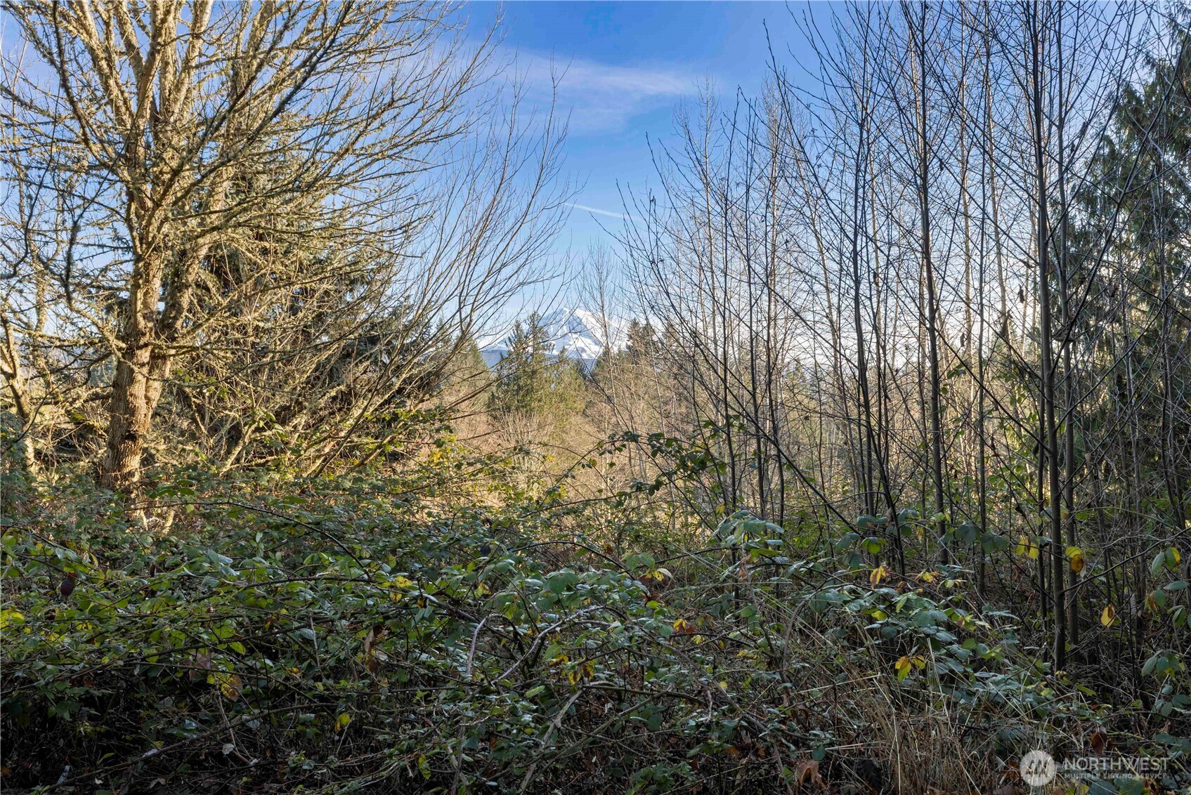 16018 229th Street E, Graham, WA 98338