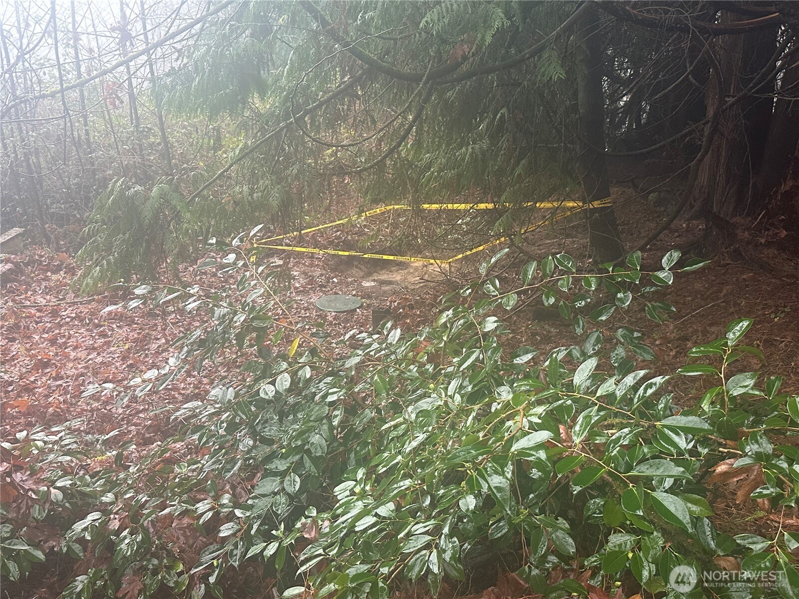 16018 229th Street E, Graham, WA 98338