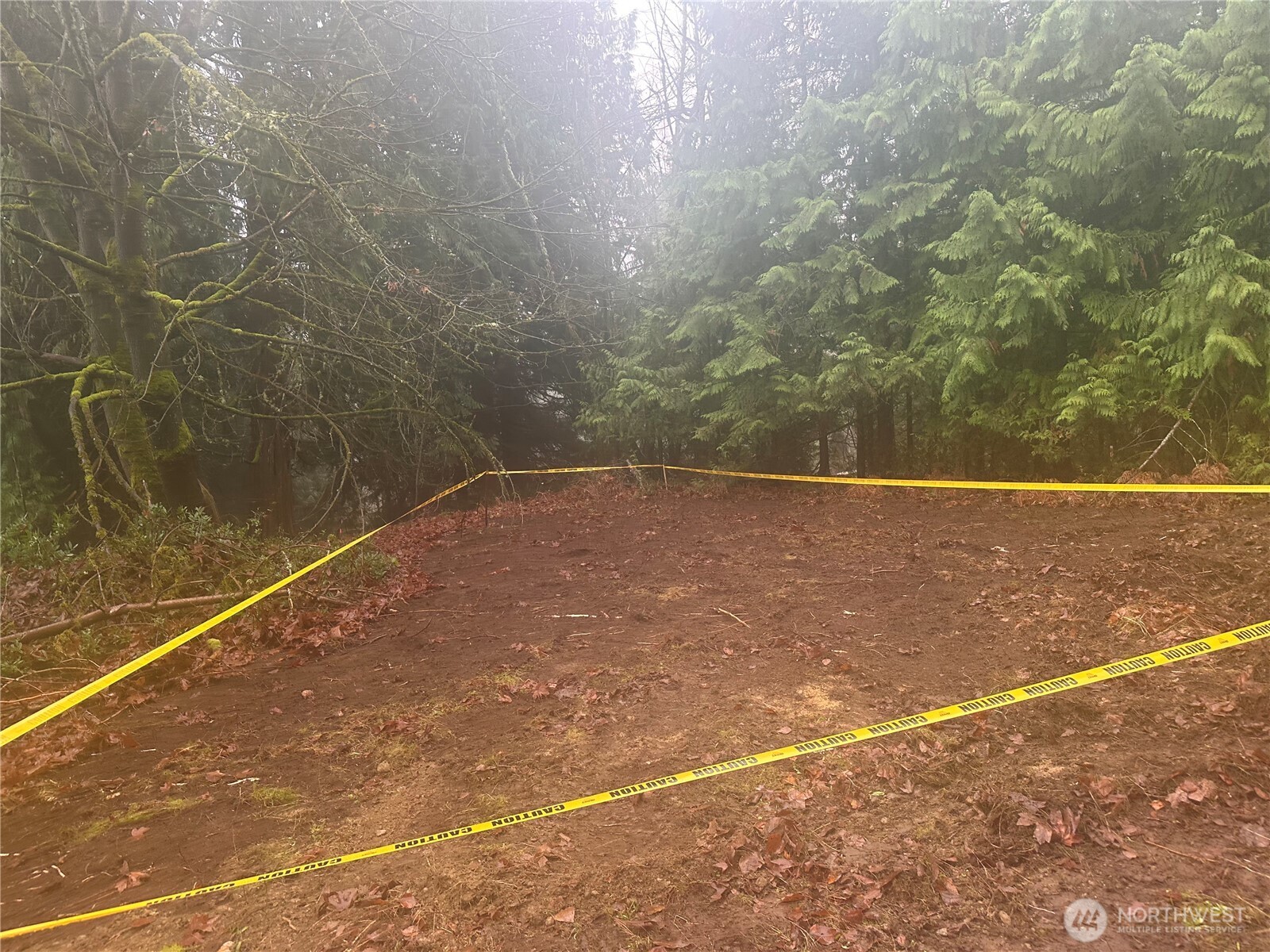 16018 229th Street E, Graham, WA 98338