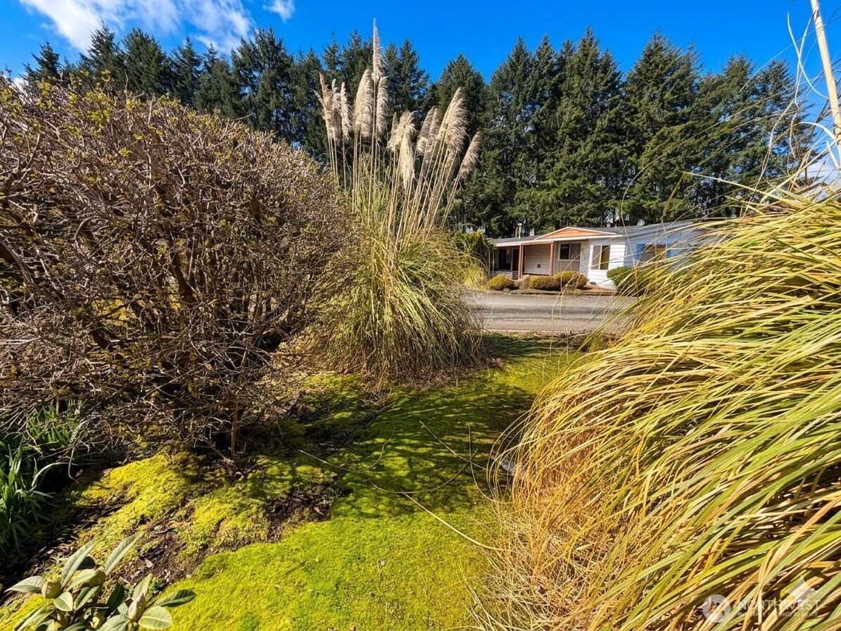 4806 Cushman Road NE #104, Olympia, WA 98506