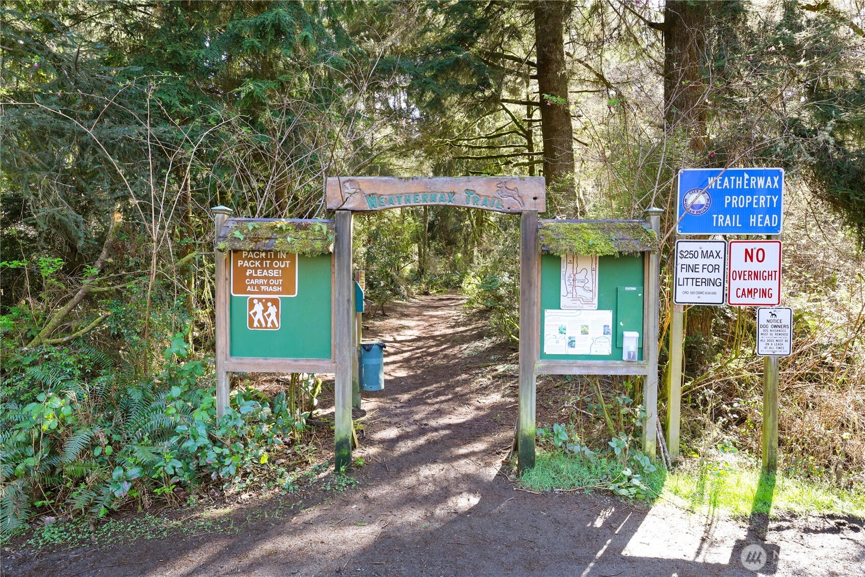 160 Dolphin Avenue NE, Ocean Shores, WA 98569