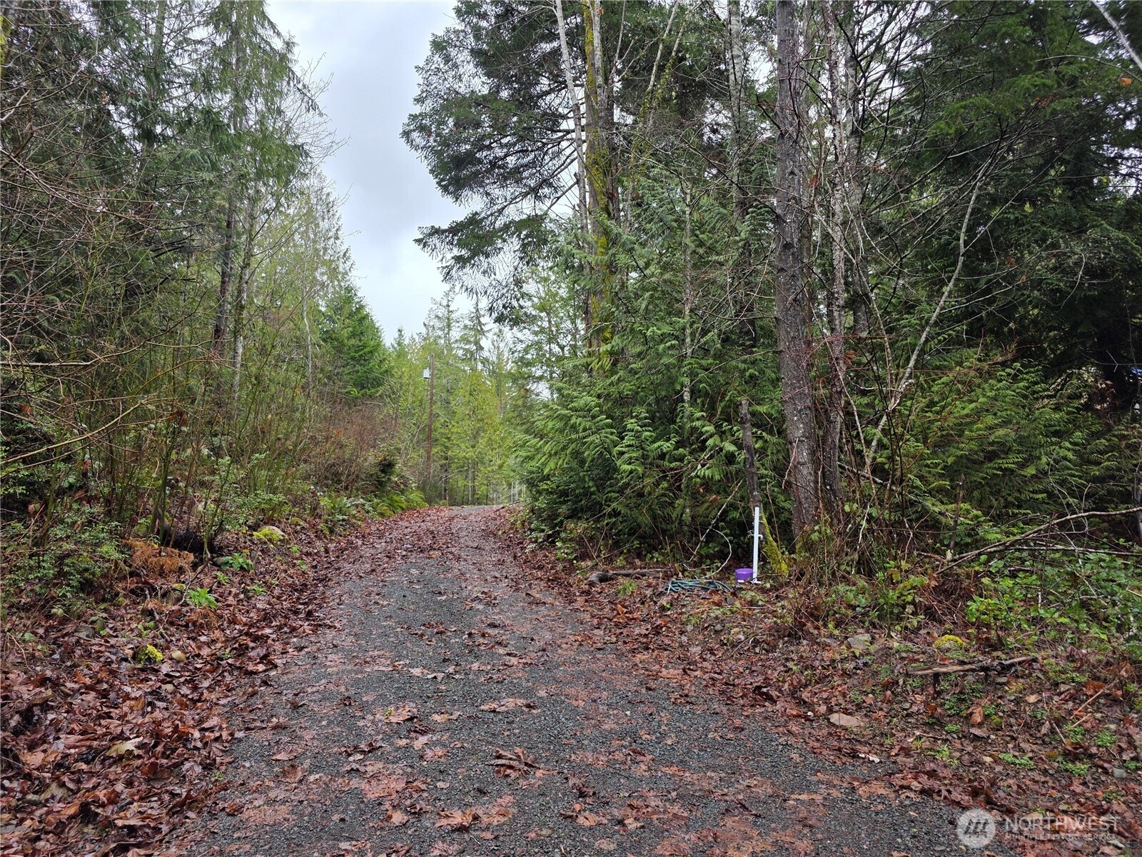 311130 Highway 101 , Brinnon, WA 98320