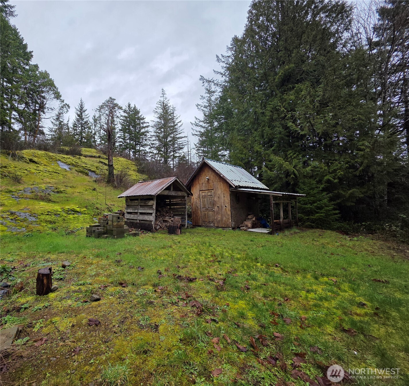 311130 Highway 101 , Brinnon, WA 98320