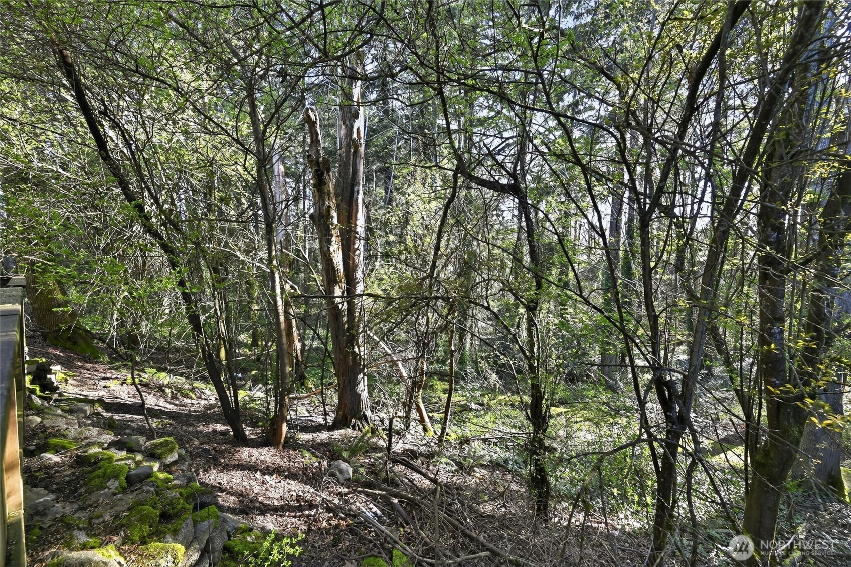 25131 98th Place S #B110, Kent, WA 98030