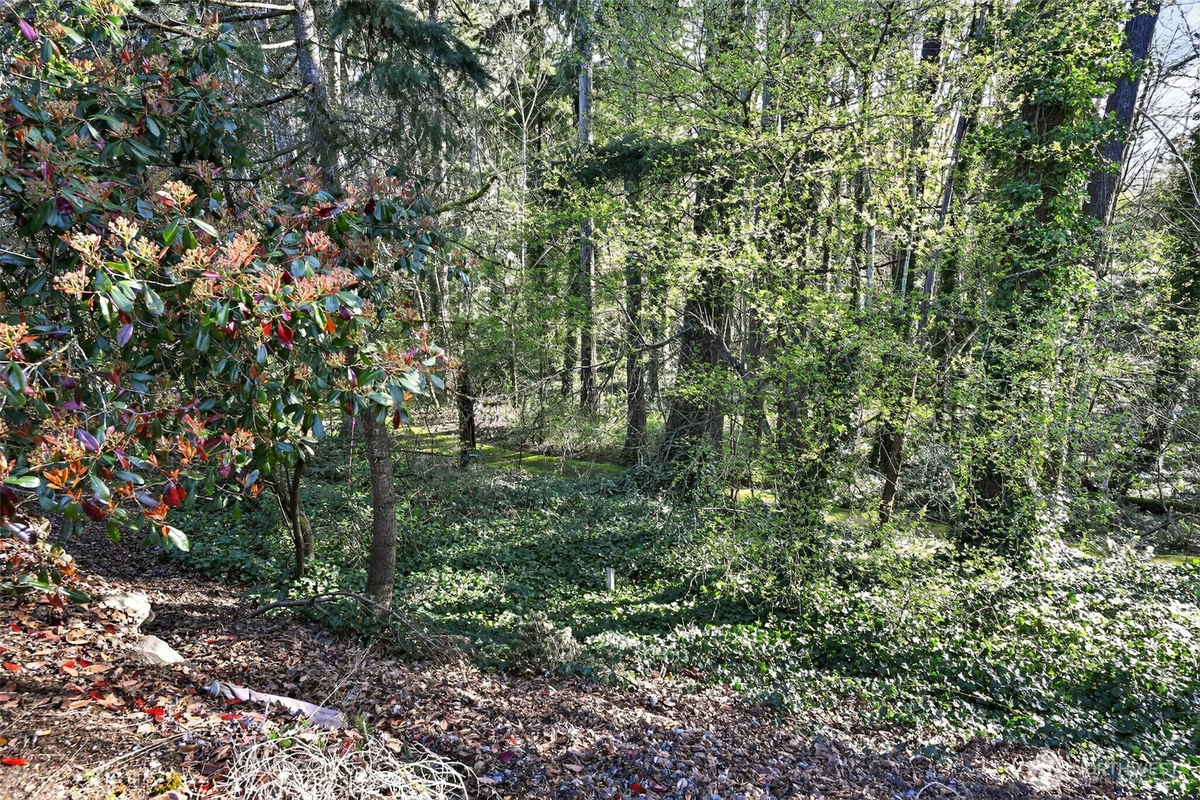 25131 98th Place S #B110, Kent, WA 98030