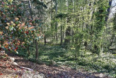 25131 98th Place S #B110, Kent, WA 98030 - Photo 23