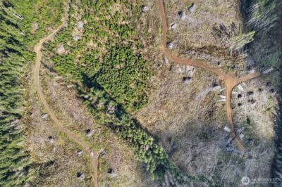 0 Luttrell Lane , Chinook, WA 98614 - Photo 11