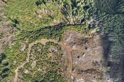 0 Luttrell Lane , Chinook, WA 98614 - Photo 12