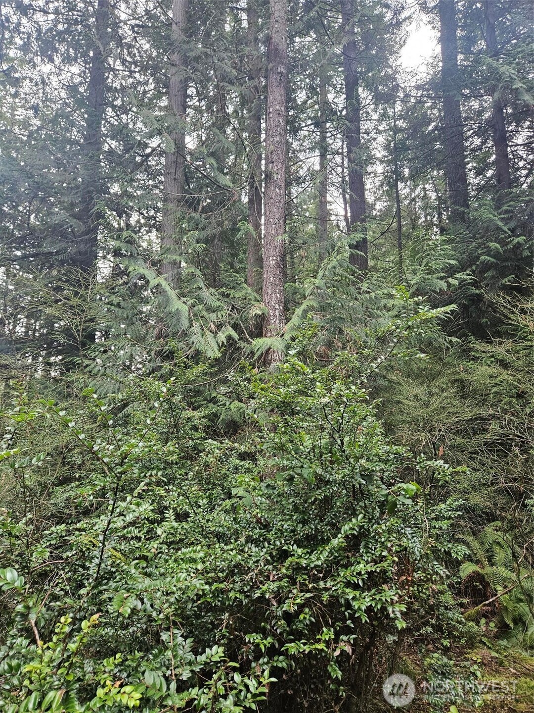 2277 BIG TIMBER Place SE, Port Orchard, WA 98367