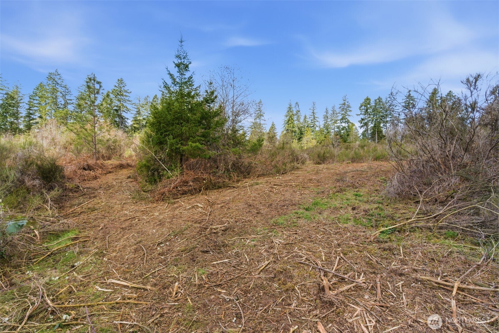 0 E McLane Cove Drive , Grapeview, WA 98546