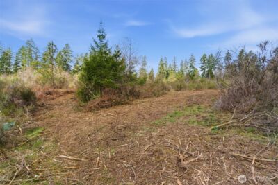 0 E McLane Cove Drive , Grapeview, WA 98546 - Photo 11