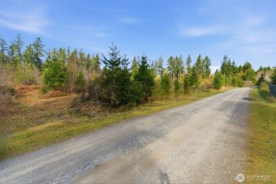 0 E McLane Cove Drive , Grapeview, WA 98546 - Photo 12