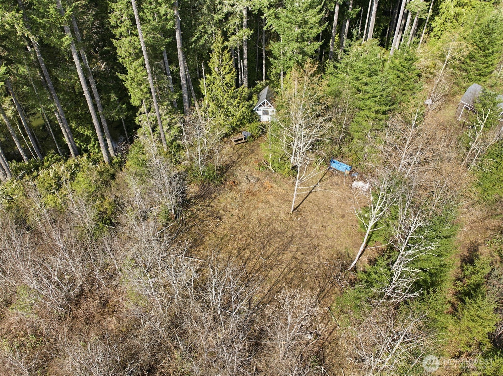 0 E McLane Cove Drive , Grapeview, WA 98546