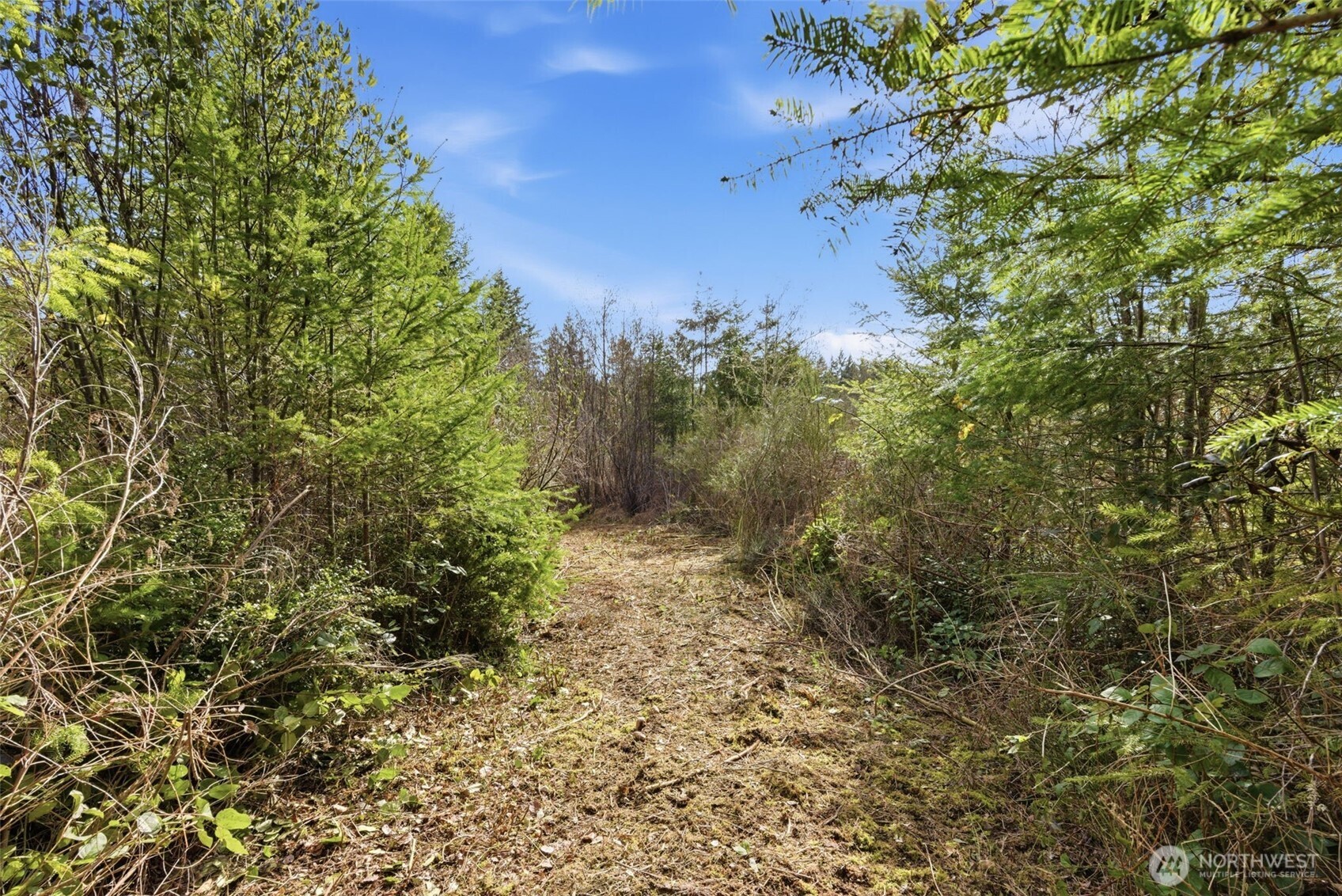 0 E McLane Cove Drive , Grapeview, WA 98546