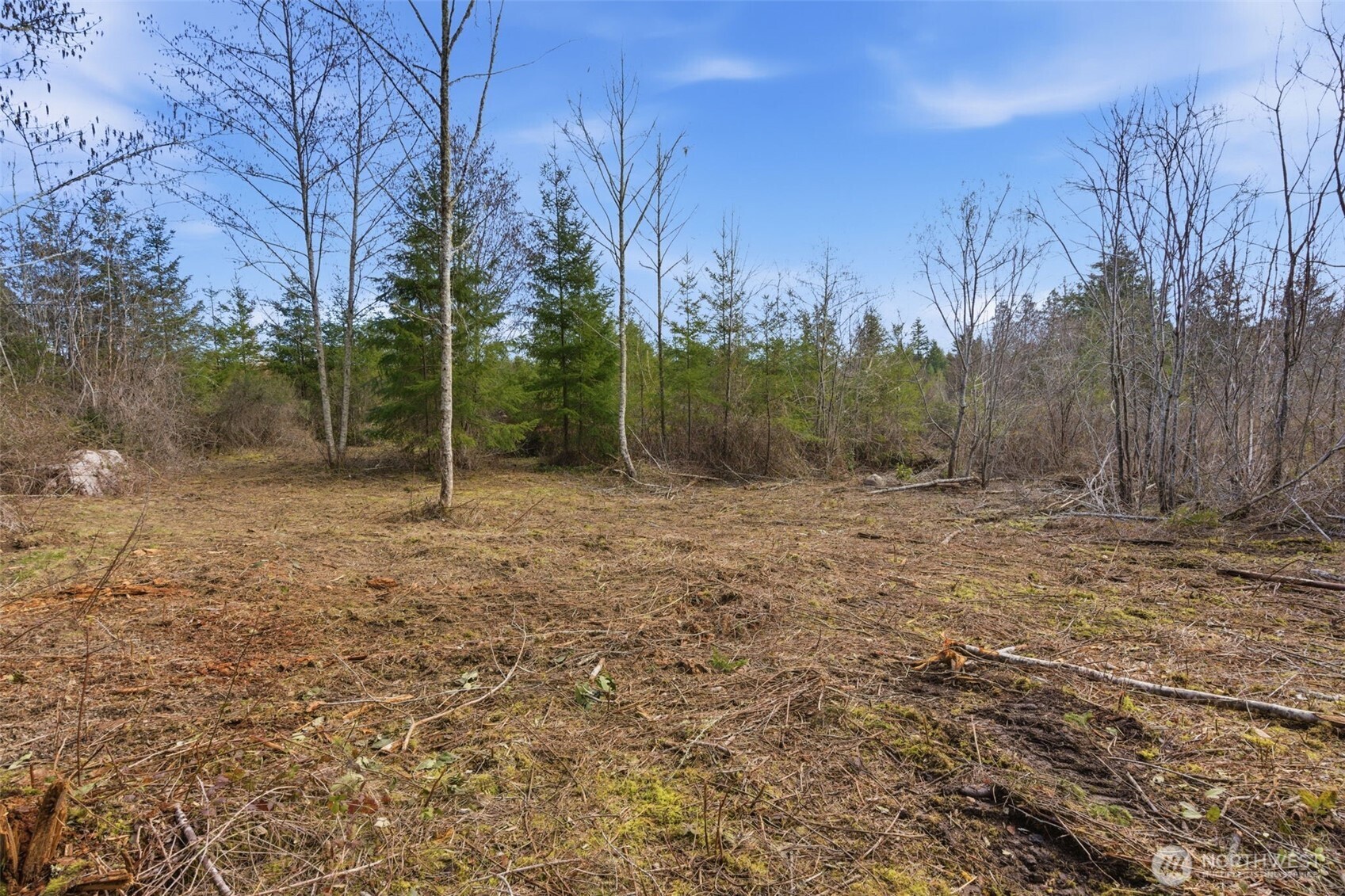 0 E McLane Cove Drive , Grapeview, WA 98546
