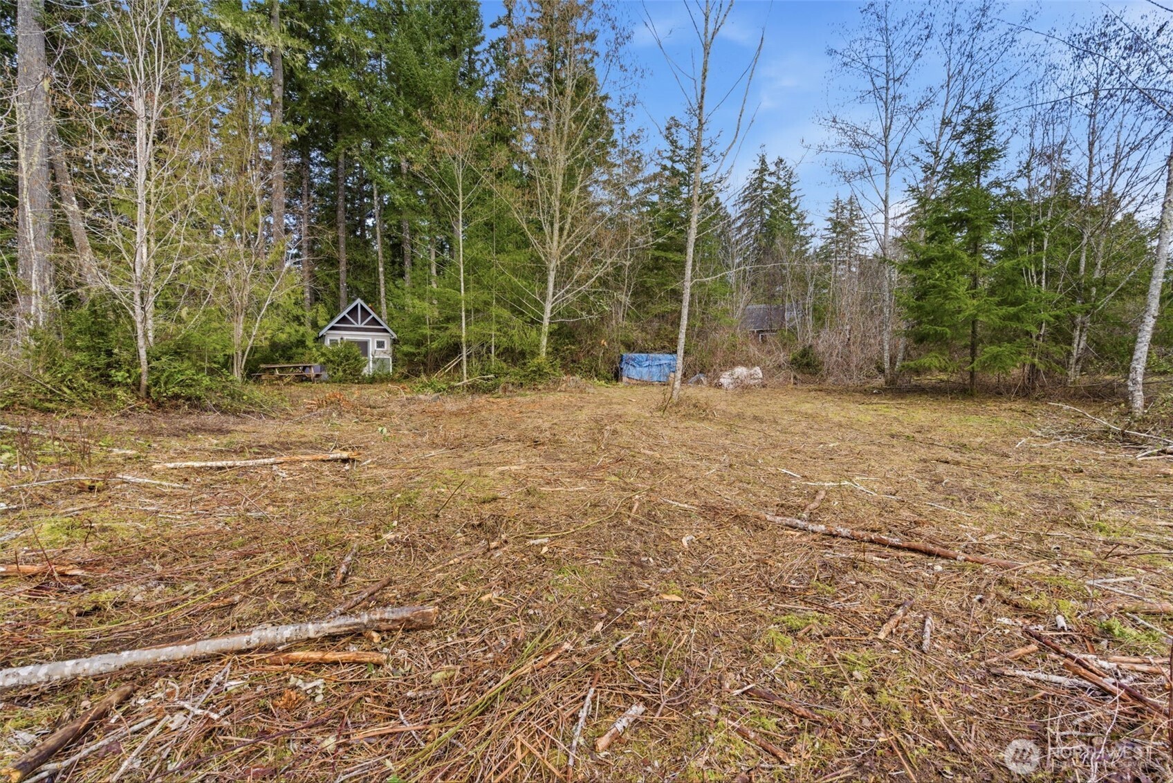 0 E McLane Cove Drive , Grapeview, WA 98546