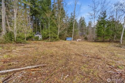 0 E McLane Cove Drive , Grapeview, WA 98546 - Photo 8