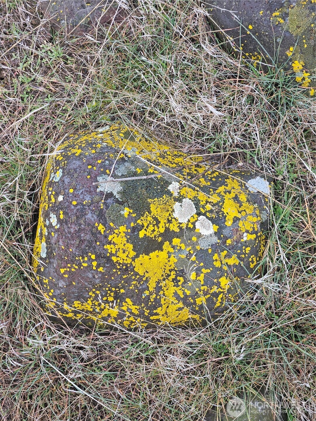 9312 NW Road H , Ephrata, WA 98823