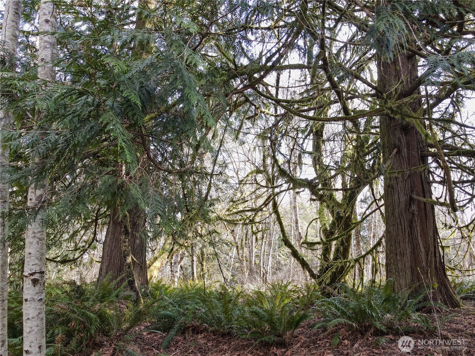 12402 131st Street NW, Gig Harbor, WA 98329