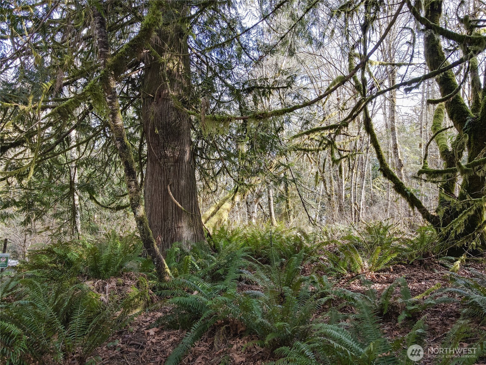 12402 131st Street NW, Gig Harbor, WA 98329