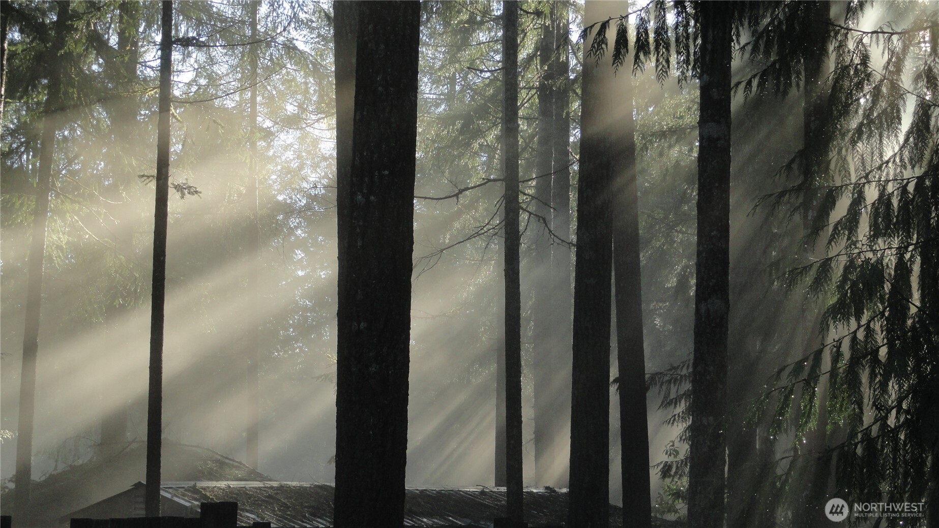 90 N Hamma Hamma Drive E, Hoodsport, WA 98548