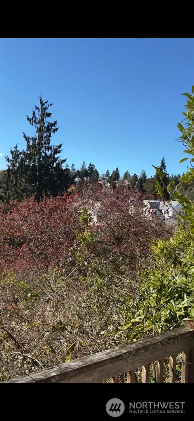 4546 47th Avenue SW, Seattle, WA 98116-4008