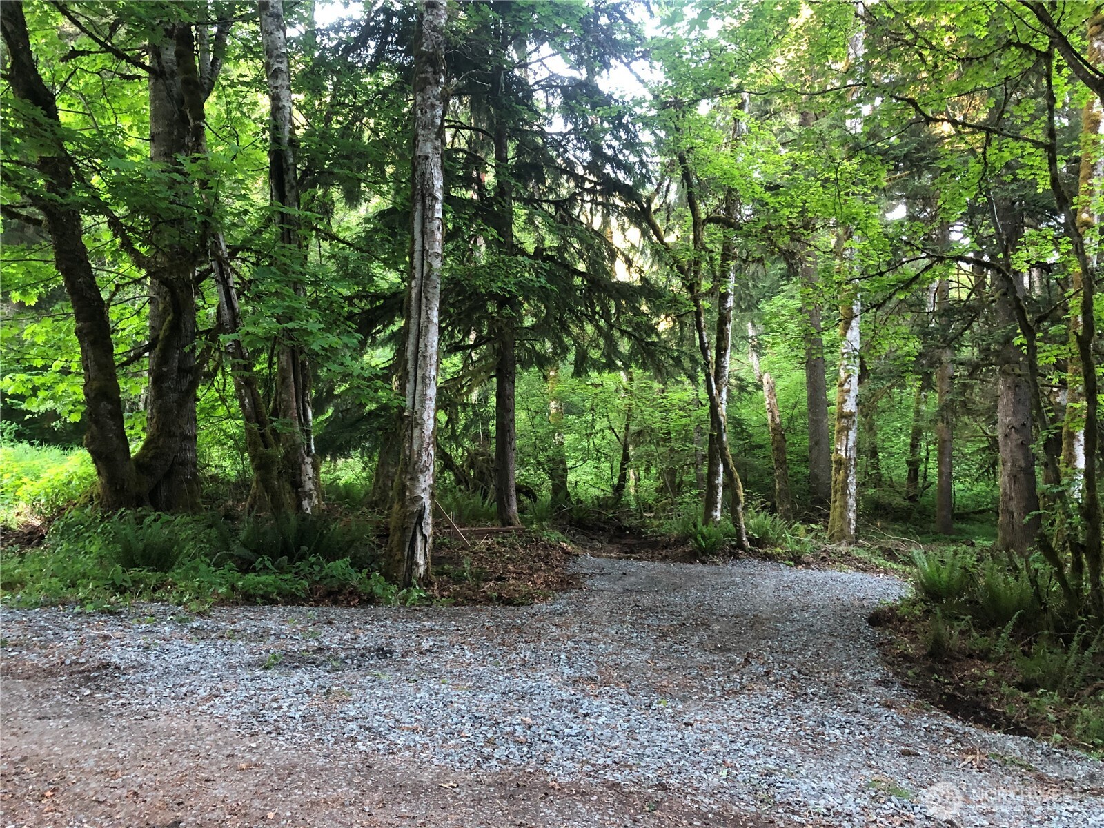 31704 Mount Tahoma Canyon Road , Ashford, WA 98304