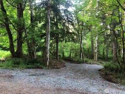 31704 Mount Tahoma Canyon Road , Ashford, WA 98304