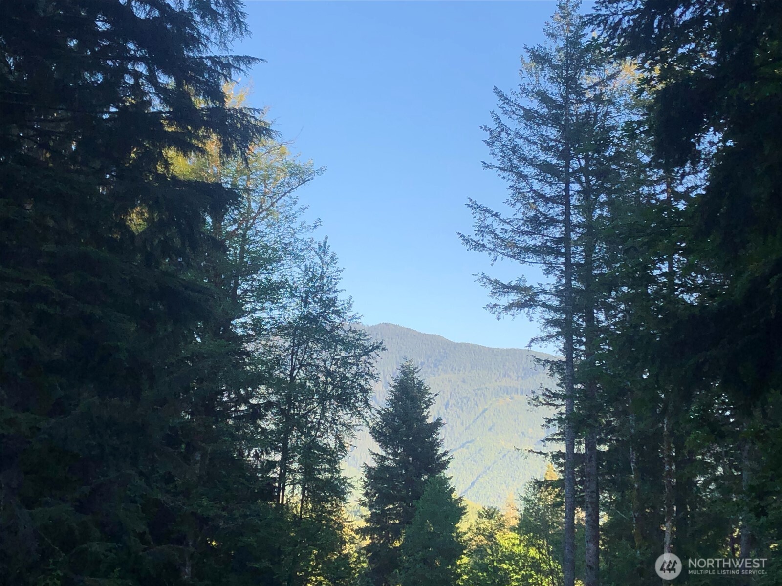 31704 Mount Tahoma Canyon Road , Ashford, WA 98304