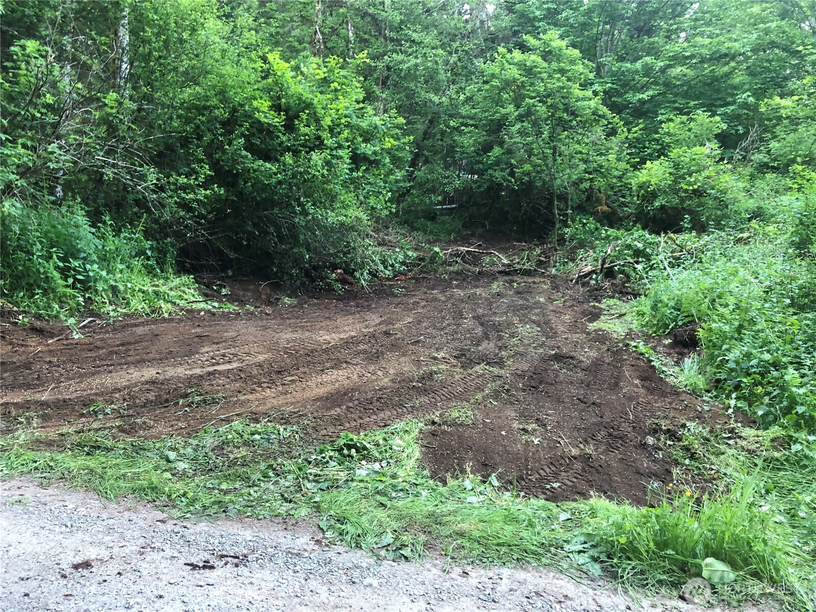 31704 Mount Tahoma Canyon Road , Ashford, WA 98304