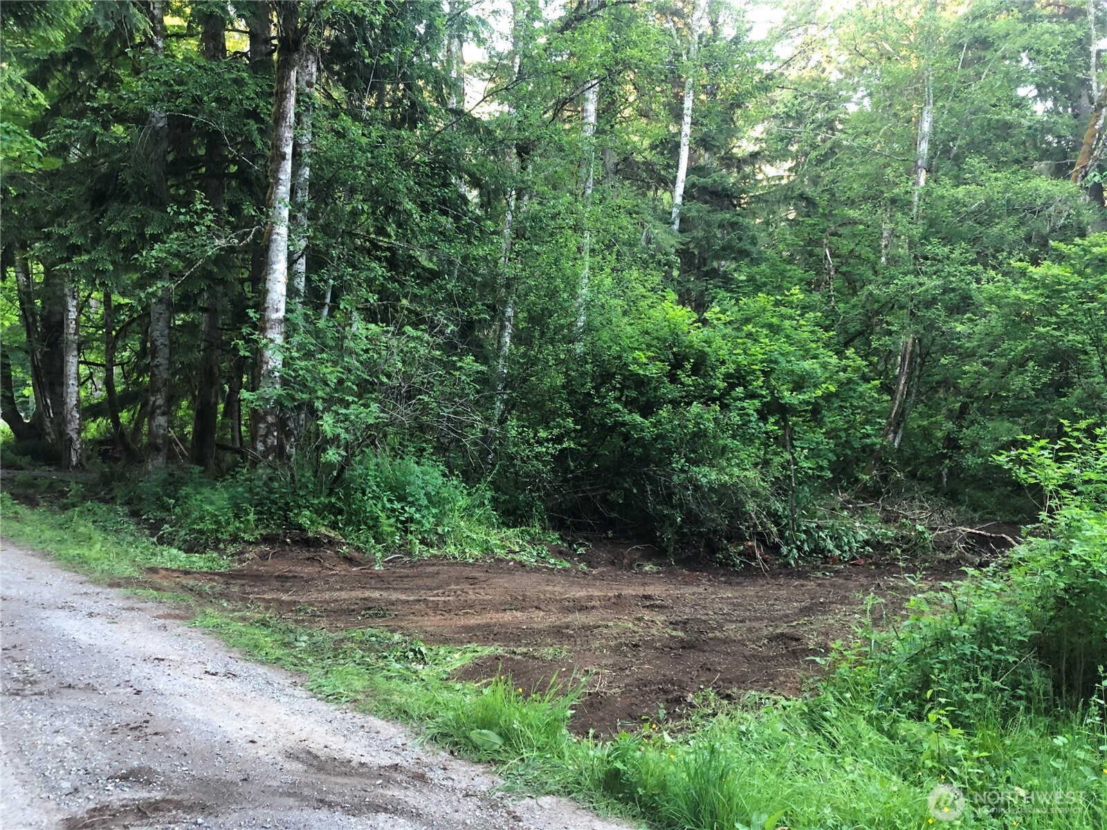 31704 Mount Tahoma Canyon Road , Ashford, WA 98304