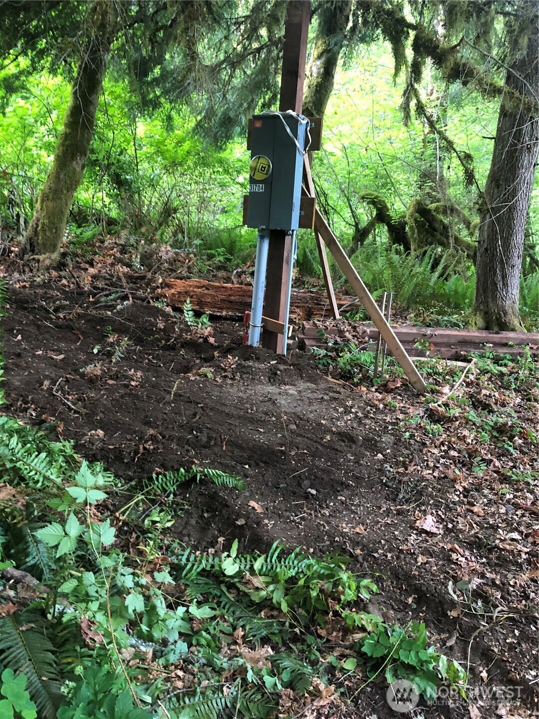 31704 Mount Tahoma Canyon Road , Ashford, WA 98304