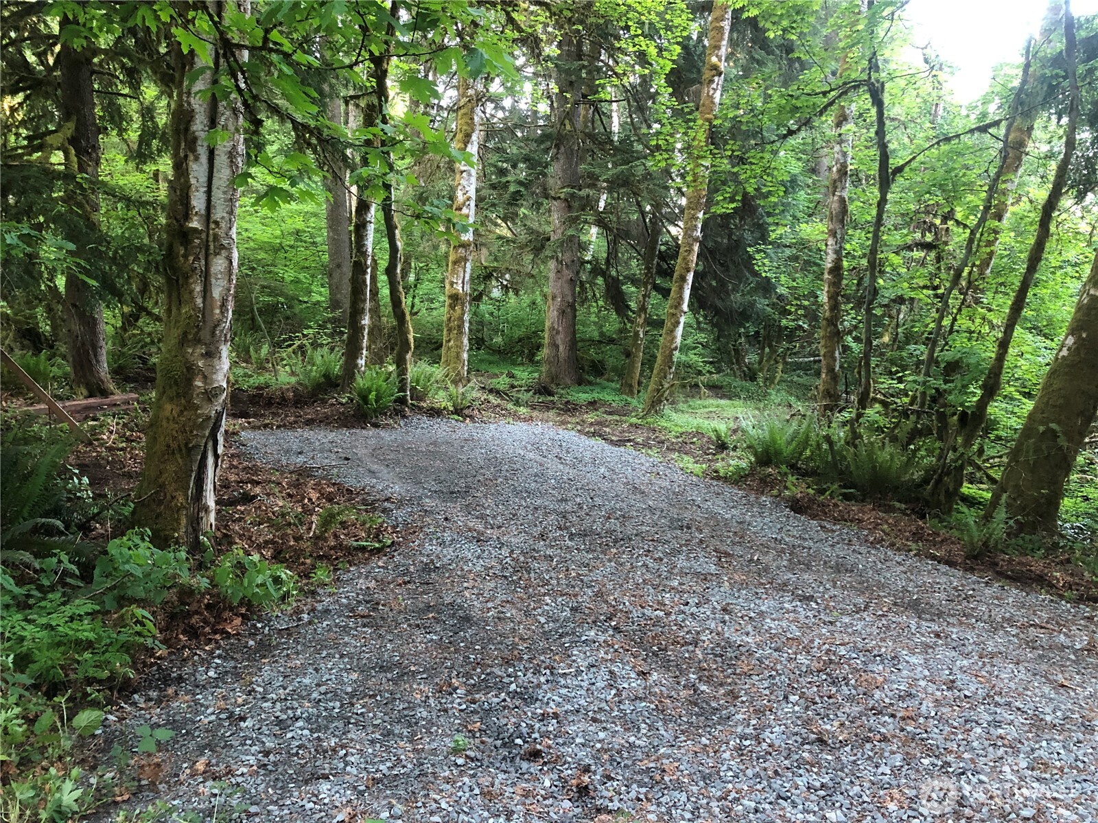 31704 Mount Tahoma Canyon Road , Ashford, WA 98304