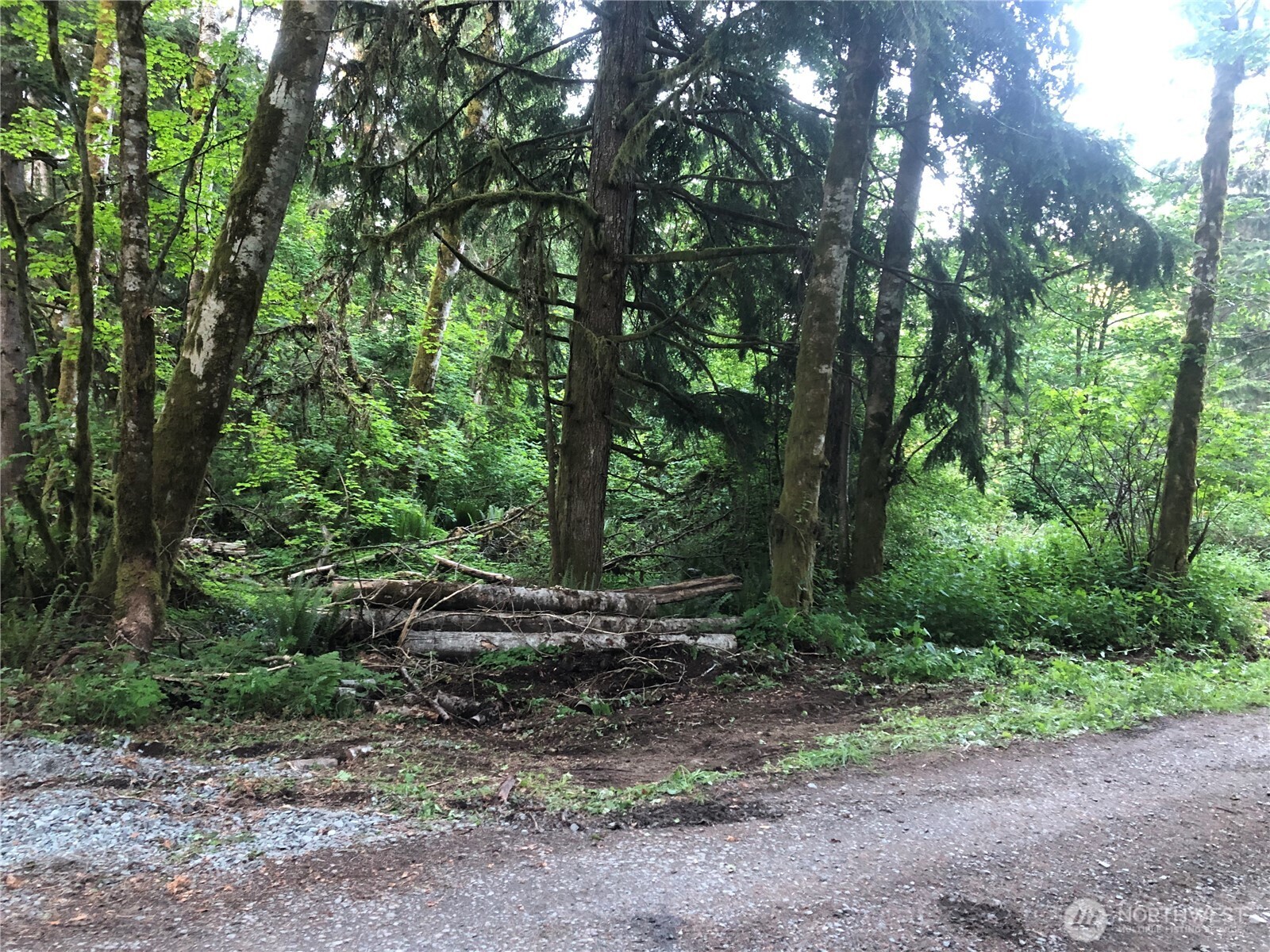 31704 Mount Tahoma Canyon Road , Ashford, WA 98304