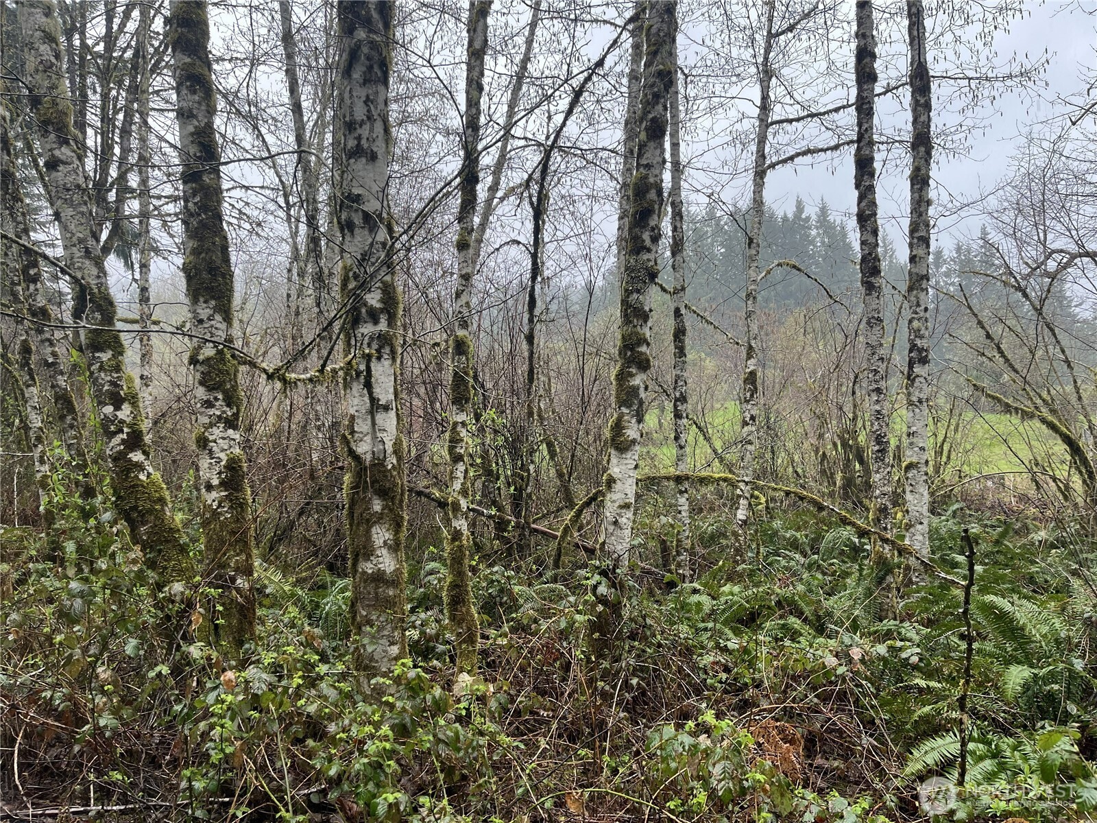 2625 Stonecrest Lane NW, Olympia, WA 98502